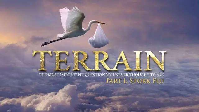TERRAIN Part I - Stork Flu