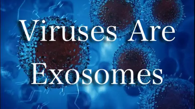 Viruses Are Exosomes