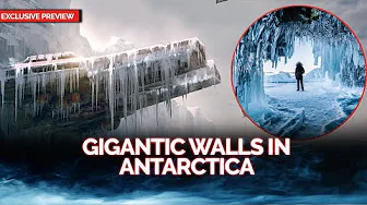 Are They in Antarctica� Not All of Them Left, Some Got Trapped!