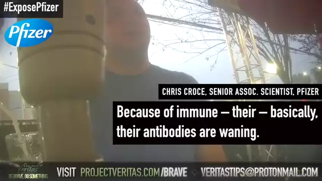 PFIZER SCIENTISTS: YOUR ANTIBODIES ARE BETTER THAN THE VAX