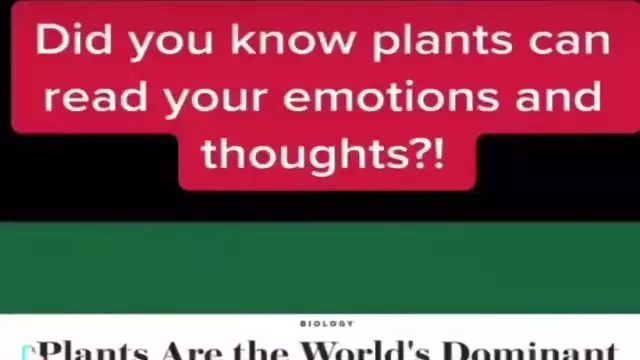 Plants are smarter than you think