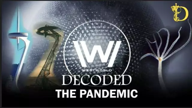 Decoded: The Pandemic