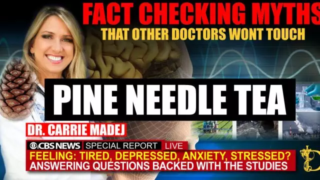 Pine Needle Tea? - Dr Carrie Madej