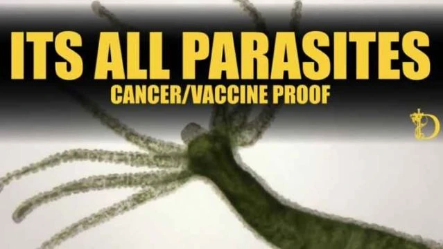 It's All Parasites!