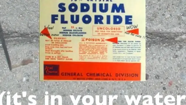 Neurotoxicity Of Fluoride In Rats - Dr. Mullenix (1995)