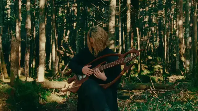 The Tree Guitar sounds Heavenly