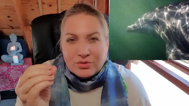 THE HEALING FREQUENCY OF DOLPHINS AND WHALES