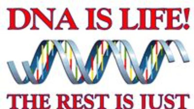 HUMAN DNA POTENTIAL