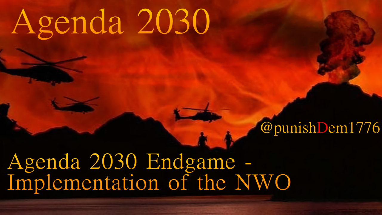 1- Agenda 2030 Endgame - Implementation of the NWO