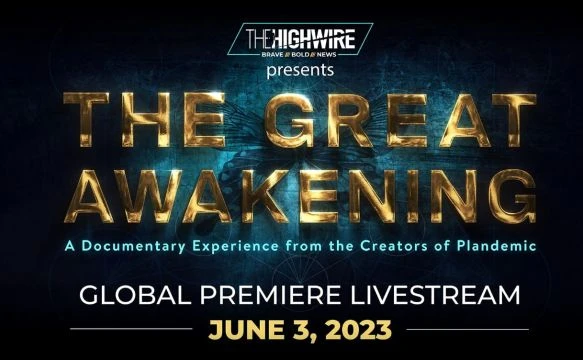 The Great Awakening (2023)