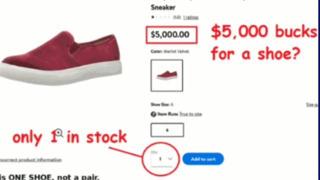 WHY ARE THE SHOES 5,000 DOLLARS AND WHY DO THEY HAVE CHILDRENS NAMES?