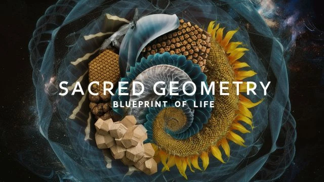 006 Sacred Geometry- Blueprint of Life HD