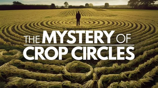 Ickonic: The Mystery Of Crop Circles